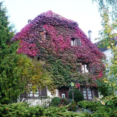 B&B De Charme La Maison Des 5 Temps Ferrette Экстерьер фото