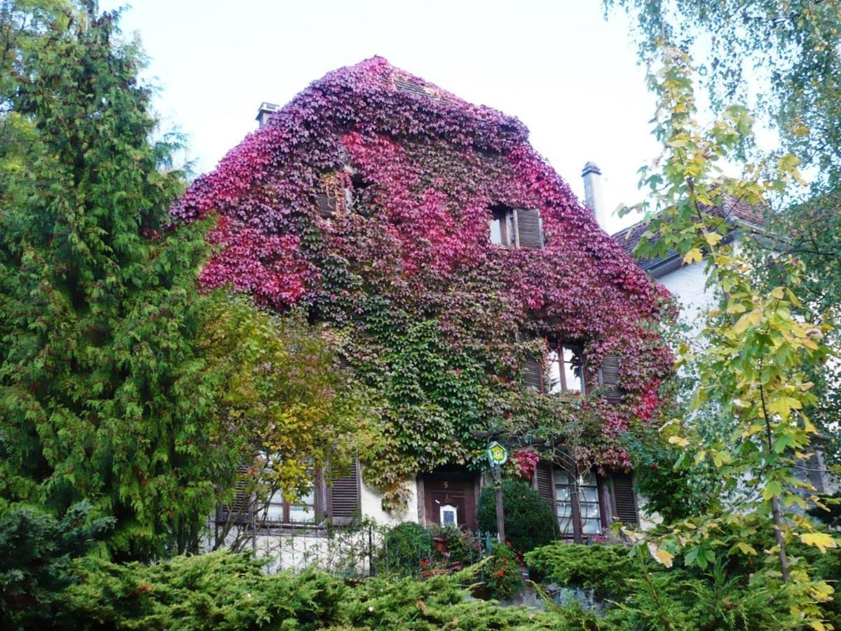 B&B De Charme La Maison Des 5 Temps Ferrette Экстерьер фото