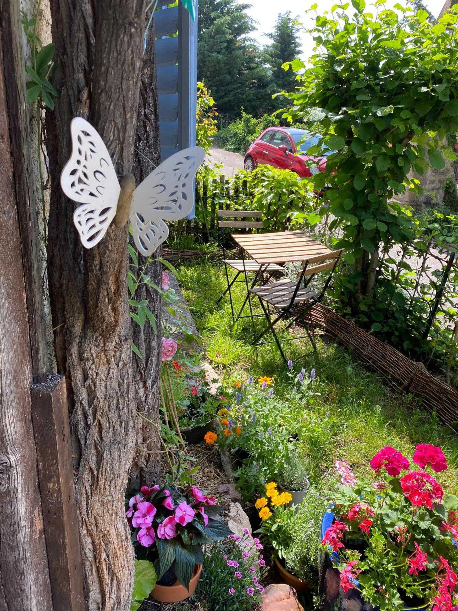 B&B De Charme La Maison Des 5 Temps Ferrette Номер фото