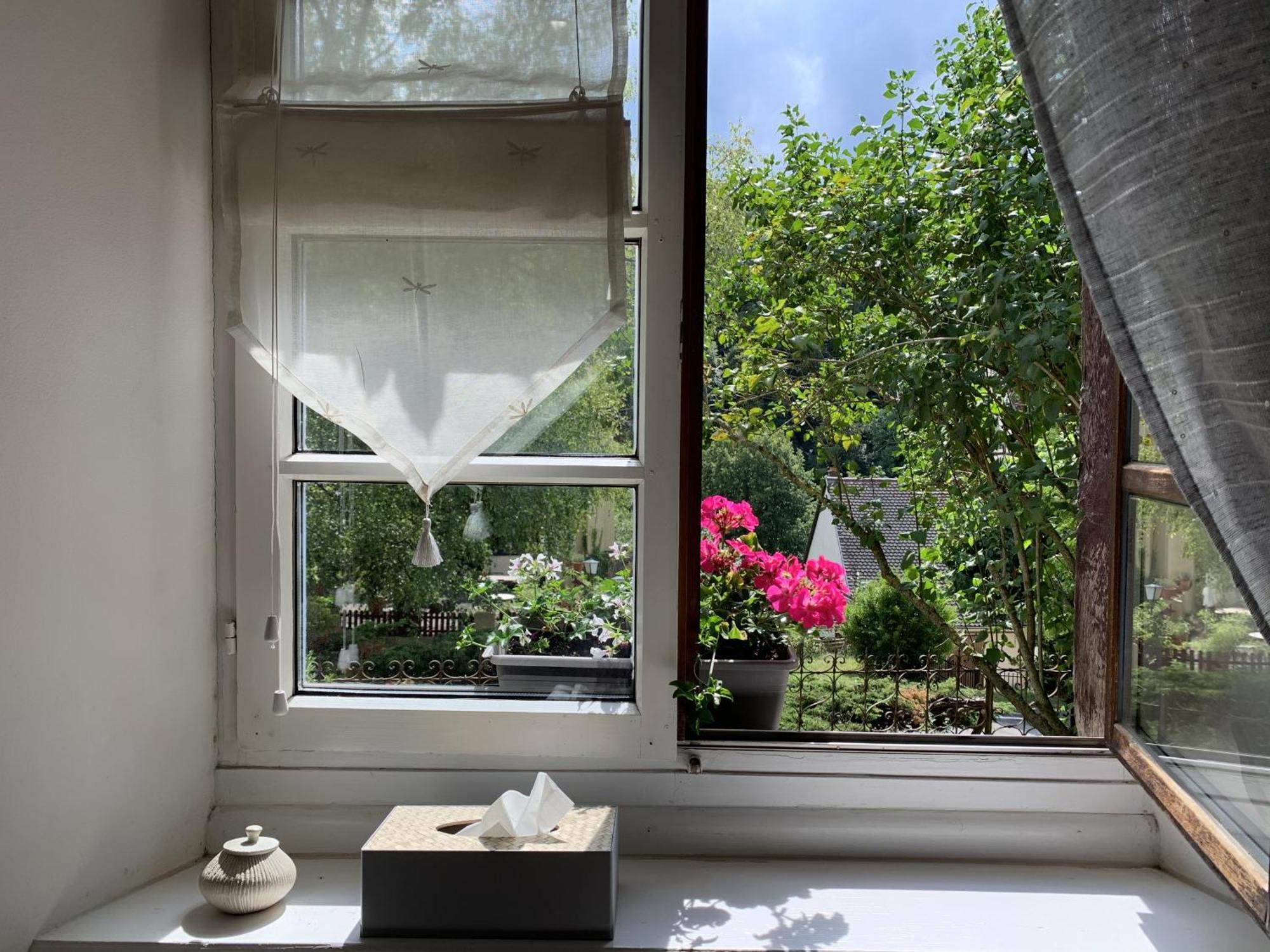 B&B De Charme La Maison Des 5 Temps Ferrette Номер фото