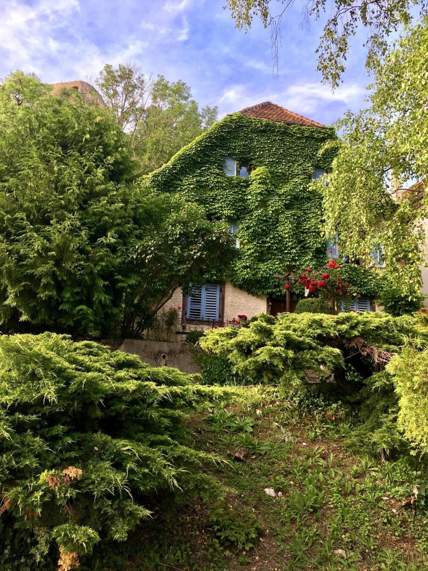 B&B De Charme La Maison Des 5 Temps Ferrette Экстерьер фото